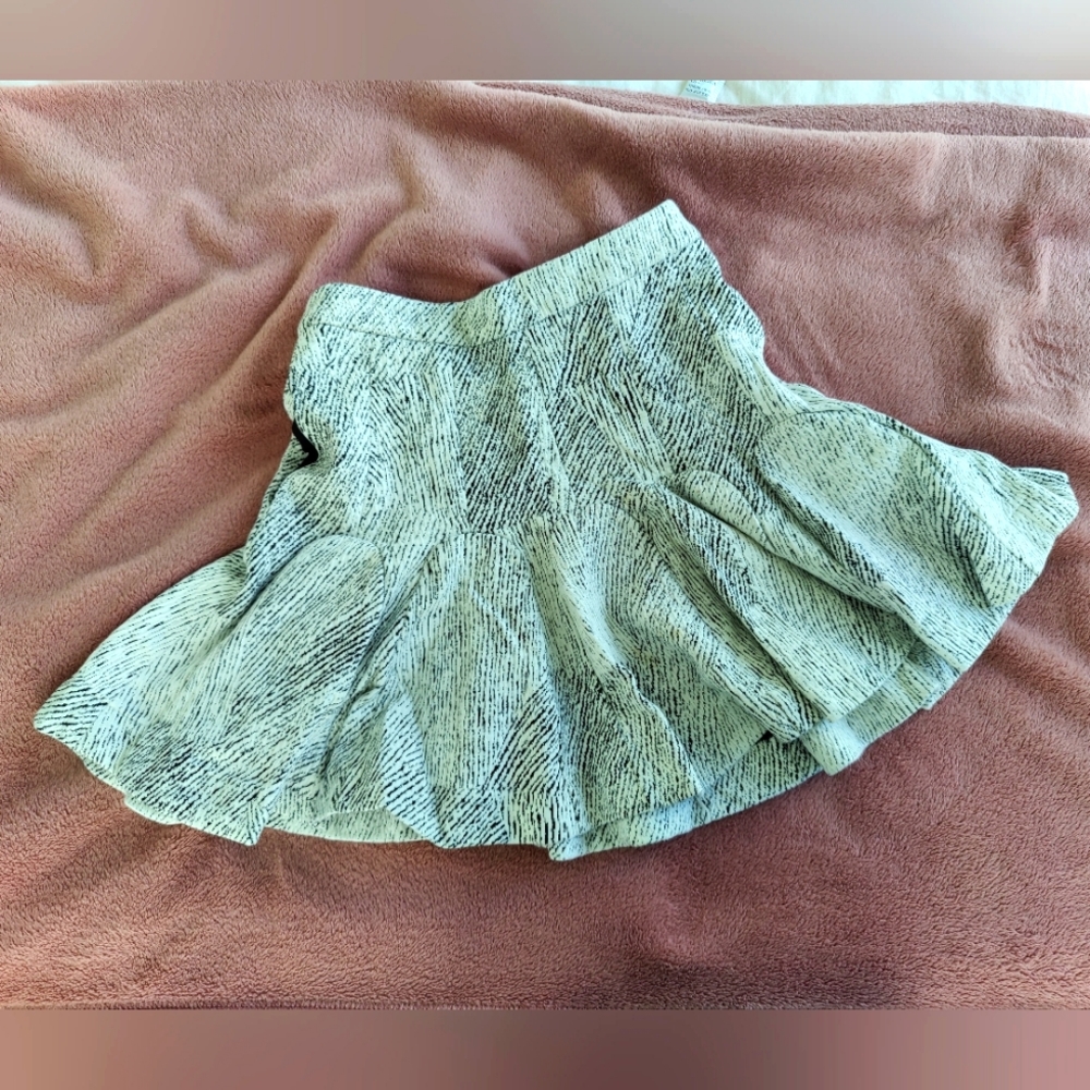 Banana Republic Skirt